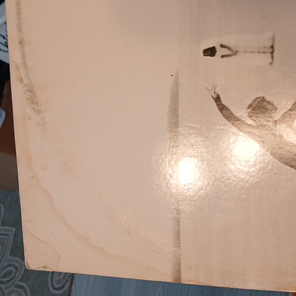 Joni Mitchell Vinyl Album HEJIRA - Picture 7 of 10